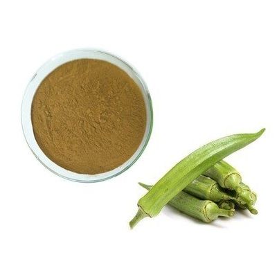 Dried Okra Root Extract Powder