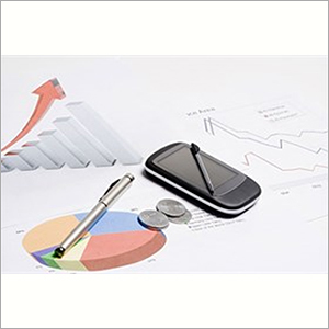 Accounting and Bookkeeping Services By DIVITIA CONSULTING PVT LTD