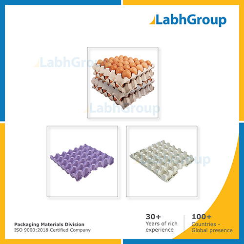 Paper Pulp Egg Tray