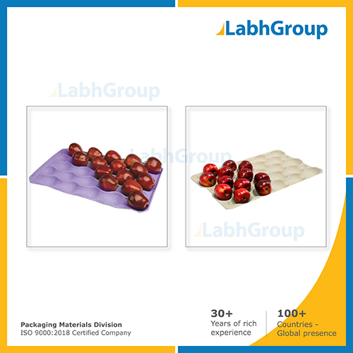 Paper Pulp Fruit Tray By LABH PROJECTS PVT. LTD.