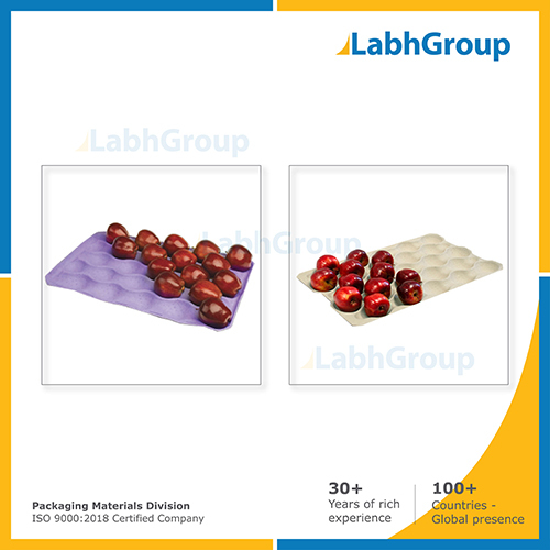 Paper Pulp Fruit Tray