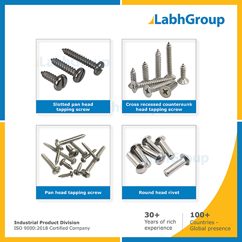 Stainless Steel Screw And Rivet