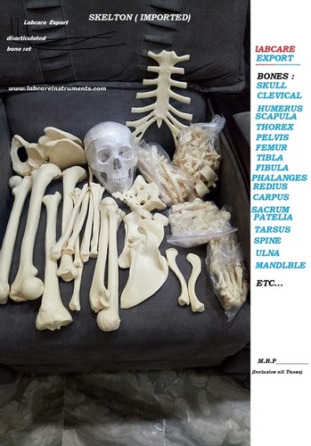 Labcare Export Imported Skeleton