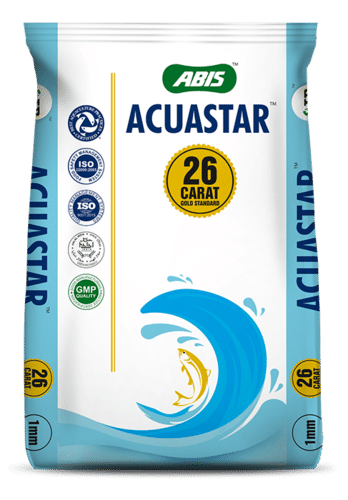 ABIS ACUASTAR 26 CARAT GOLD