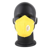 Anti Pollution Face Mask