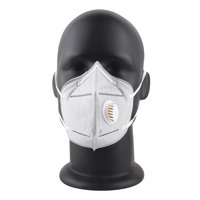 Anti Pollution Face Mask