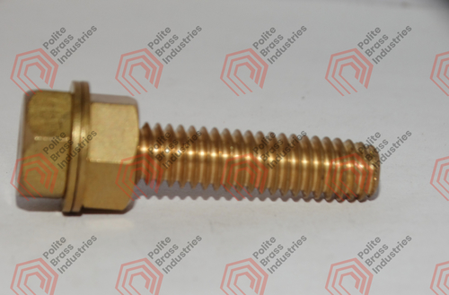Brass Nut Bolts
