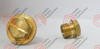 Brass Drain Plugs