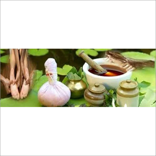 Fresh Herb Medicine