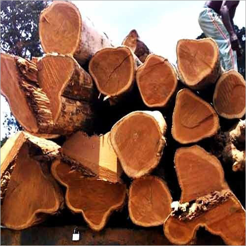 Wood Logs 