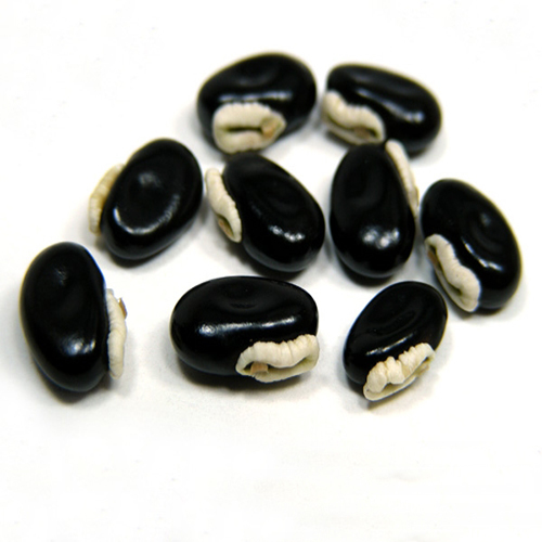 Black Dried Raw Mucuna Pruriens Seed