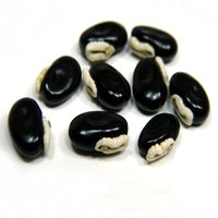 Dried Raw Mucuna Pruriens Seed - Top Grade, Black Color | Herbal Supplement For Enhanced Sexual Performance, Improved Fertility, And Overall Well-being
