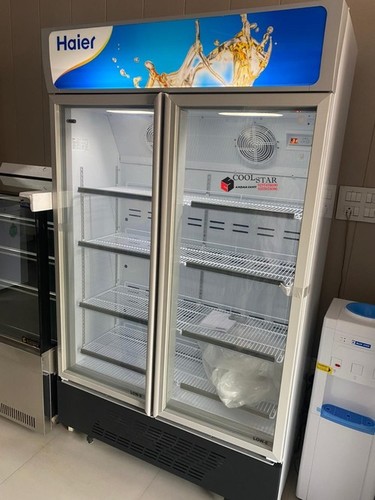 Vertical Deep Freezer