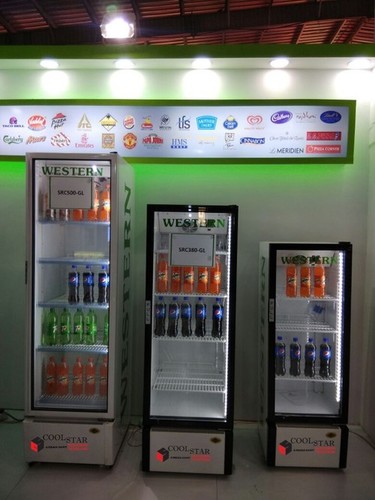 Vertical Deep Freezer