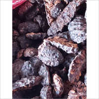 Dried Noni
