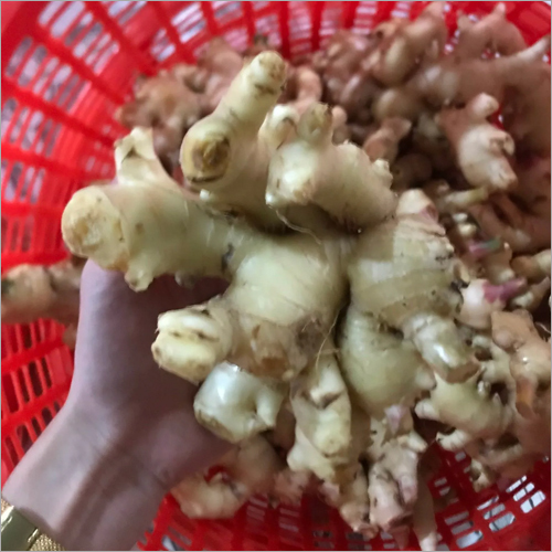 Natural Ginger
