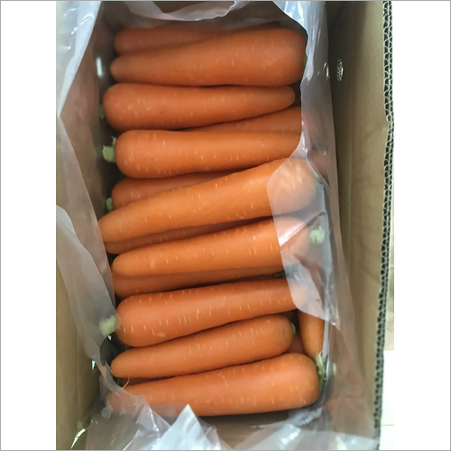 Fresh Carrot