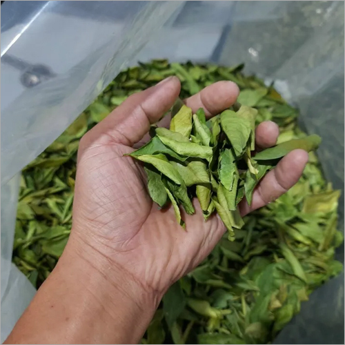 Dried Lemon Leaves