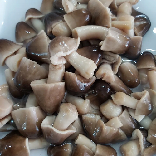 Straw Mushroom