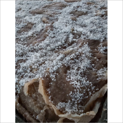 Salted Fish Jelly