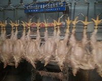 2000-4000pcs Chicken Slaughter Machine Chicken Goose Slaughter Processing Line