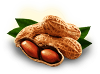 Ground Nuts In Peanut