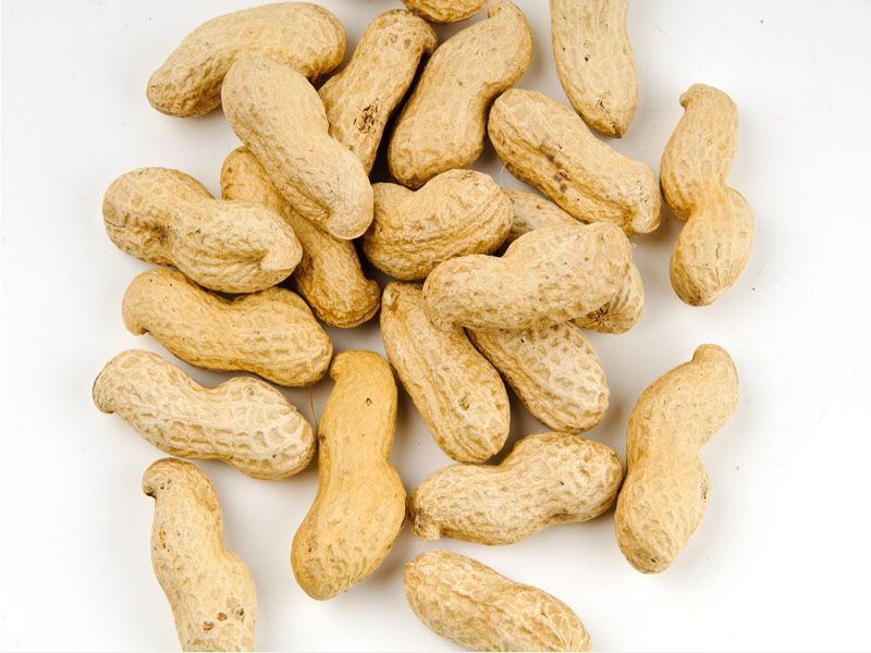 Ground Nuts In Peanut