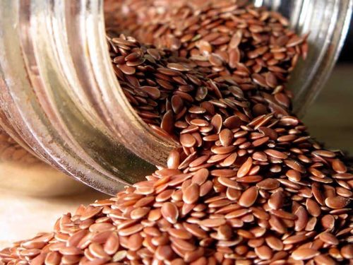 Flax Seeds By CMS INDUSTRIES