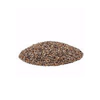 Buckwheat Seeds