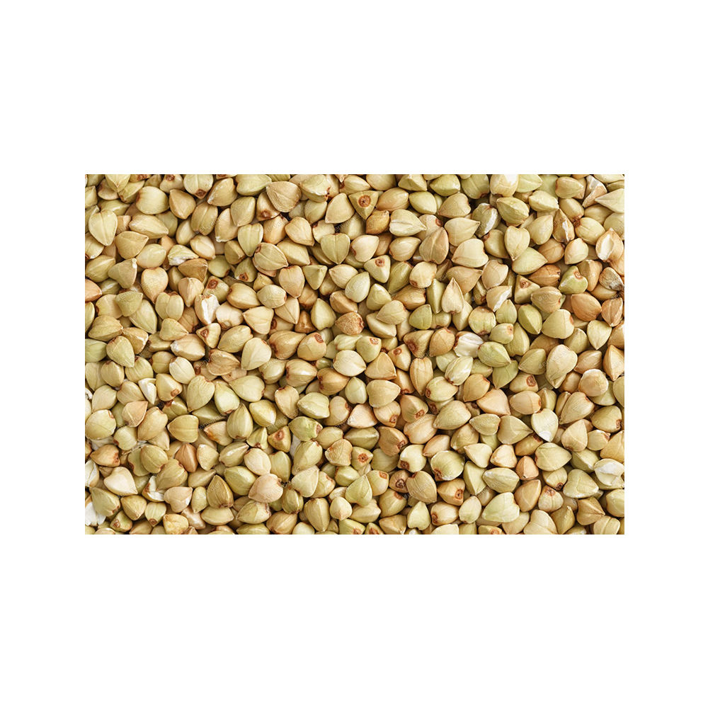 Buckwheat Seeds