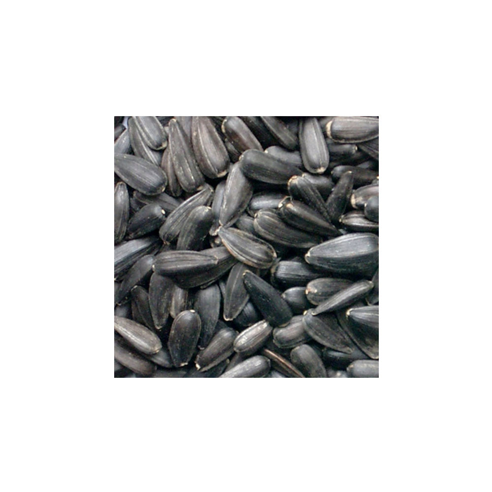 Sunflower Seeds