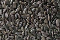 Sunflower Seeds