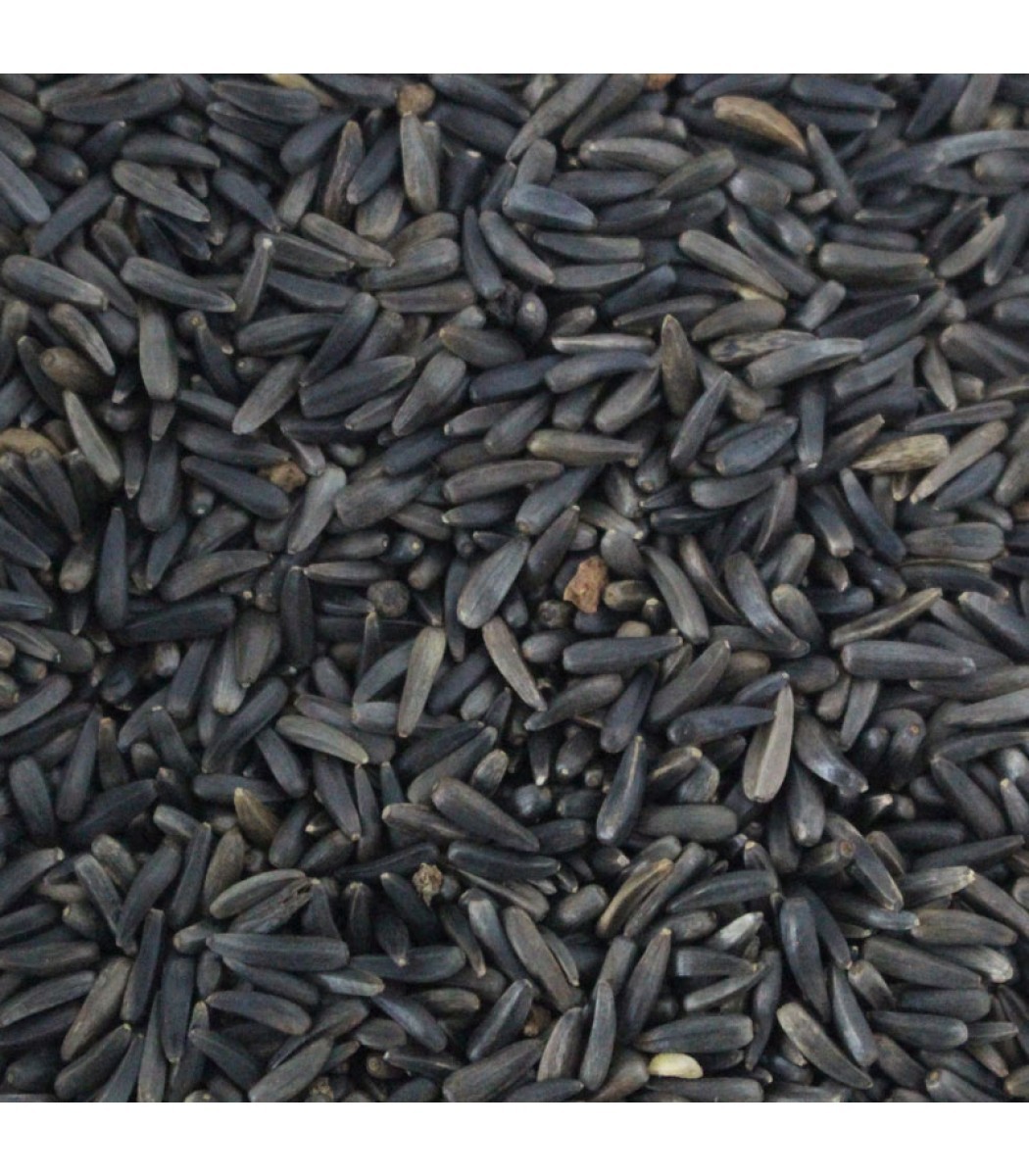 Niger Seeds
