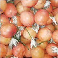 Passion Fruit