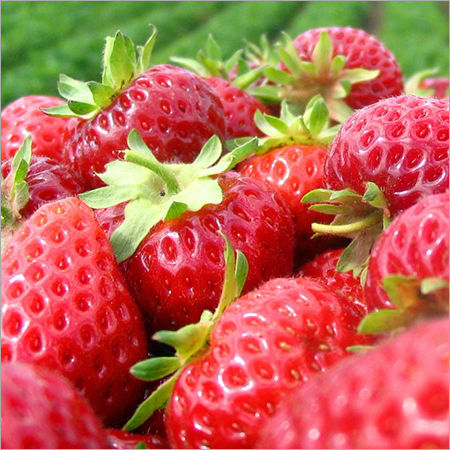 Fresh Strawberry