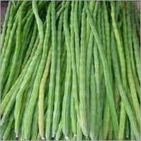 Drumstick Vegetables