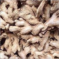 Dry Ginger