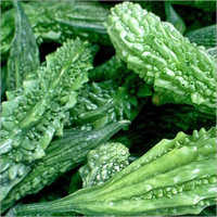Organic Bitter Gourd