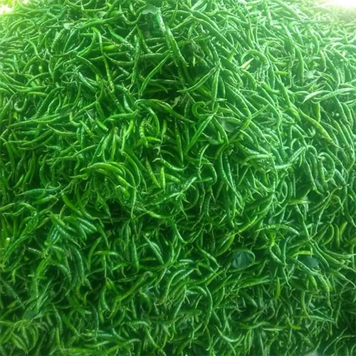 Green Chilli