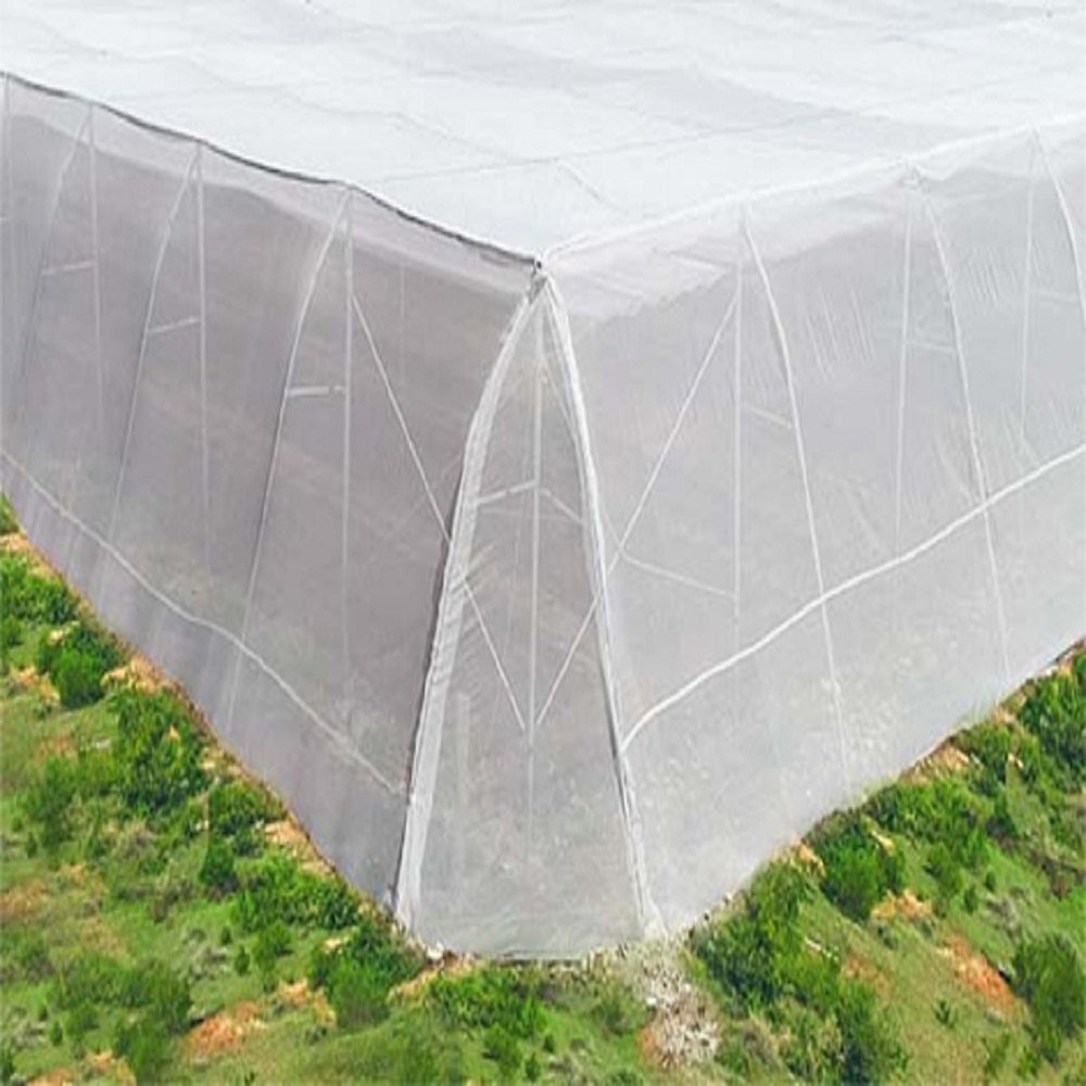 Anti Insect Net - Durable Polyester Mesh | Uv Resistant, Fine Mesh Weave, Lightweight Design