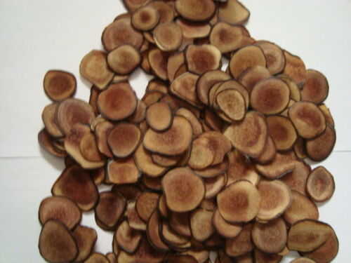 High Quality Young Deer Antler,top Quality Lu Rong