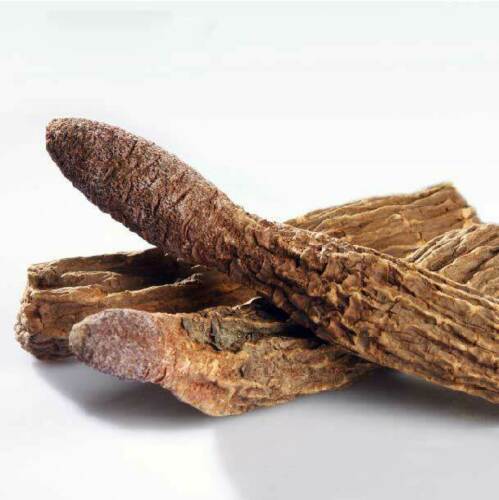 Songaria Cynomorium Herb / Suo Yang Seoyang Sayo