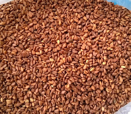 Double Skin Red Natural Sesame Seeds