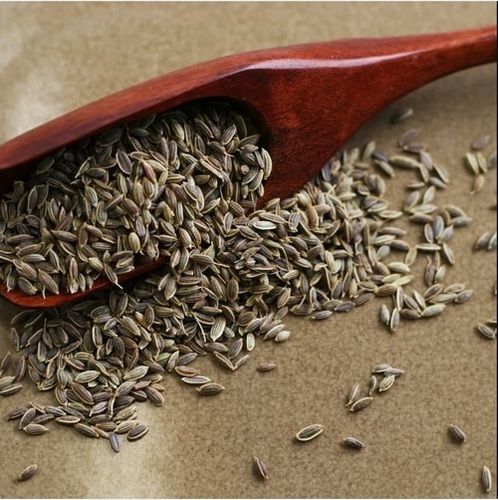 Dill Seeds