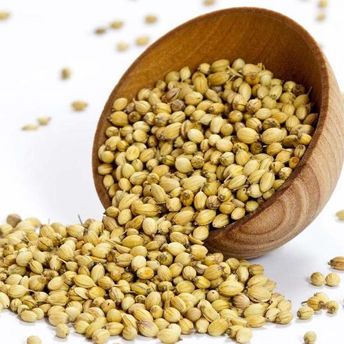 Coriander Seeds