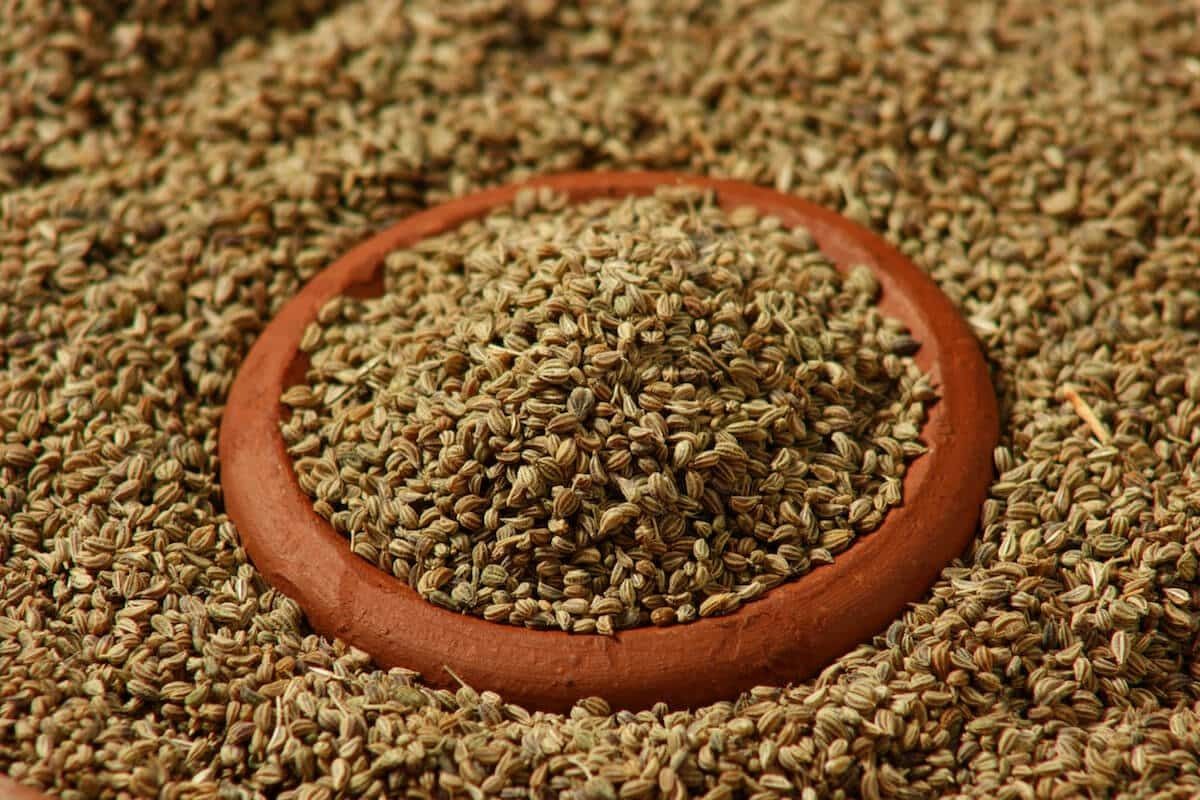 Ajwain Seed