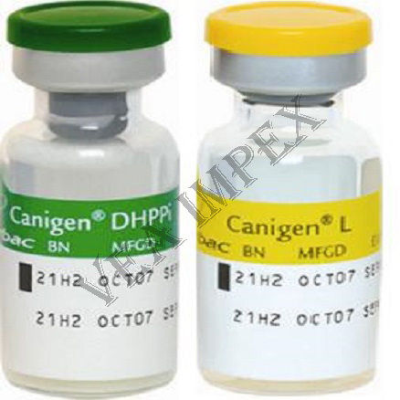 Canigen Dhppi 1ml