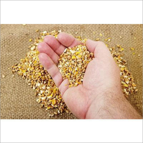 Maize Poultry Feed