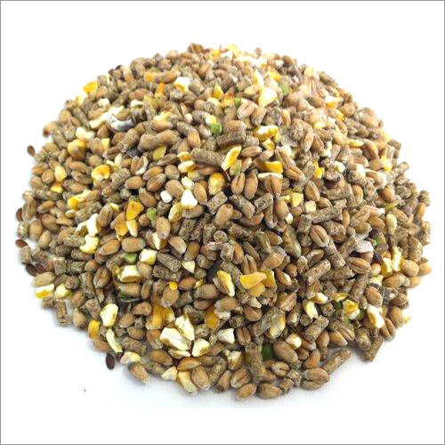 Mix Poultry Feed