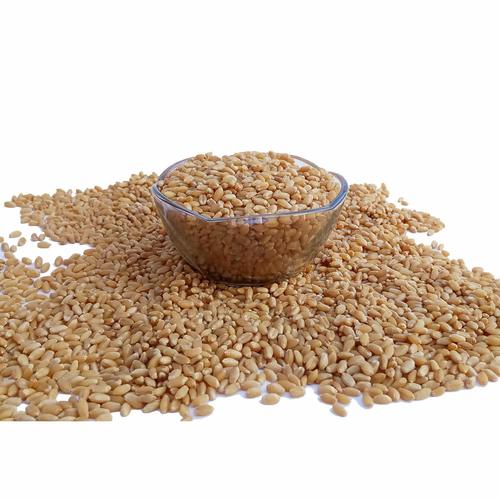 Sharbati Wheat